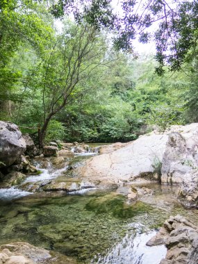 Throat of the Muga river. pre-Pyrenees area of Empora, Catalonia