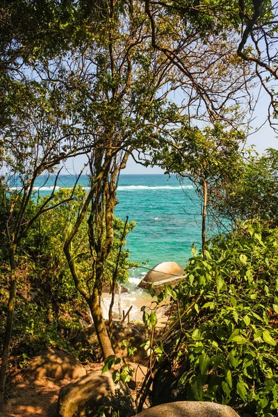 Caribisch strand met tropisch bos in Tayrona National Park, C — Stockfoto