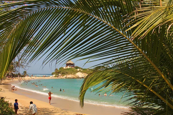 Chata na karaibskiej plaży. Park Narodowy Tayrona. Kolumbia. Tayro Przewodniczący — Zdjęcie stockowe