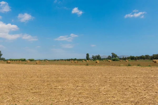 Польська сільській місцевості, зібраний урожай поля, копиці сіна. — стокове фото