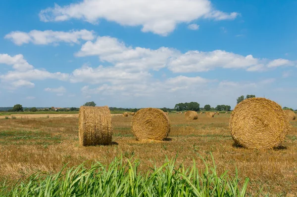 Typiska landskapet i Emporda i Katalonien, Spanien. — Stockfoto