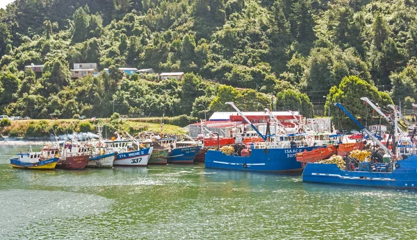 Quai à l'embouchure de la rivière Valdivia, avec des bateaux de pêche amarre — Photo