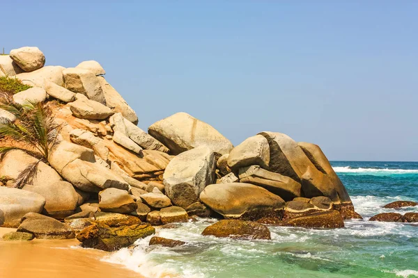 Karibien strand med tropisk skog i Tayrona nasjonalpark, C – stockfoto