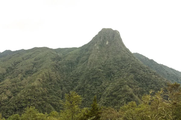 Cocora Valley, which is nestled between the mountains of the Cor — Stock Photo, Image