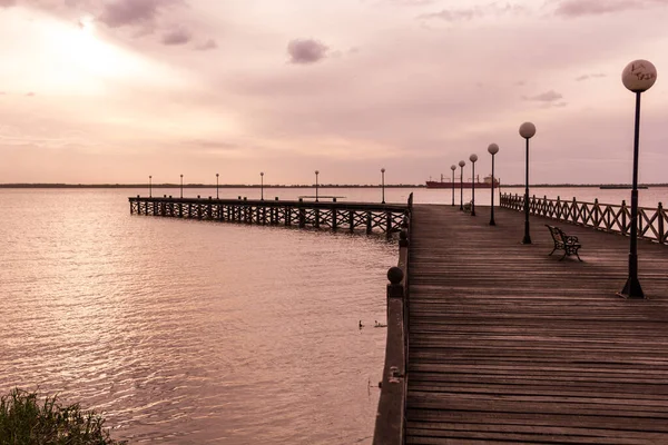 General Flores Pier Uruguay Nehri Ndeki Nueva Palmira Sanayi Yükleme — Stok fotoğraf