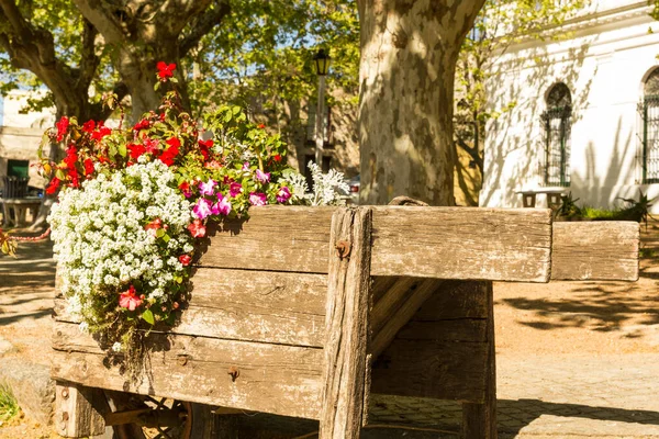 Virágos Részlet Talicska Virágokkal Colonia Sacramento Gyarmati Város Utcáin Mar — Stock Fotó