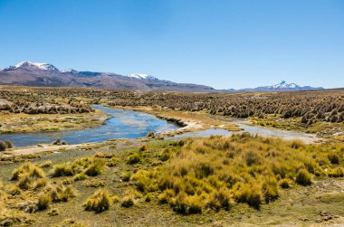 High Andean tundra landscape in the mountains of the Andes. The weather Andean Highlands Puna grassland ecoregion, of the montane grasslands and shrublands biome. clipart