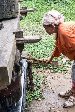 AMAZON REJON, RURRENABAQUE, BOLIVIA - 15 Mayıs 2016: Şeker kamışı doğrayan yerli bir kadının resmi. Madidi Ulusal Parkı 'ndaki Beni Nehri bölgesi. Bolivya