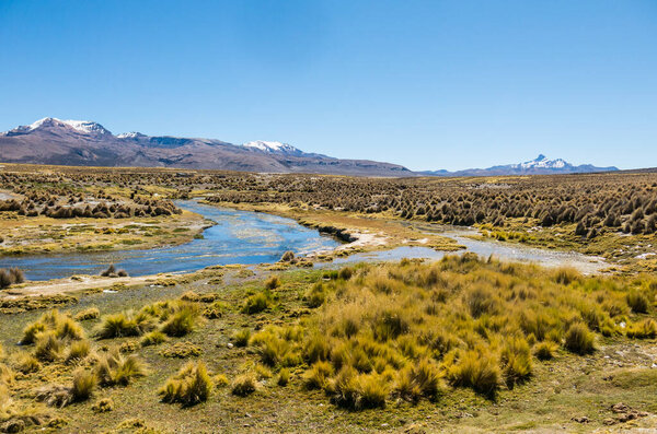 High Andean tundra landscape in the mountains of the Andes. The weather Andean Highlands Puna grassland ecoregion, of the montane grasslands and shrublands biome.