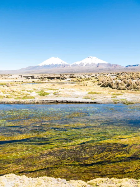 Paisaje Tundra Altoandina Las Montañas Los Andes Tiempo Tierras Altas —  Fotos de Stock