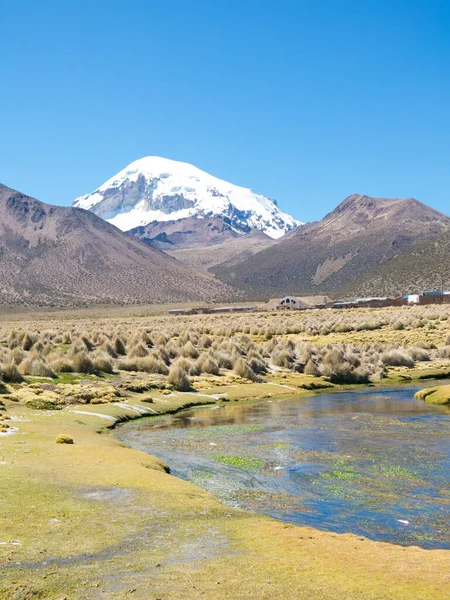 Haute Toundra Andine Paysage Dans Les Montagnes Des Andes Météo — Photo