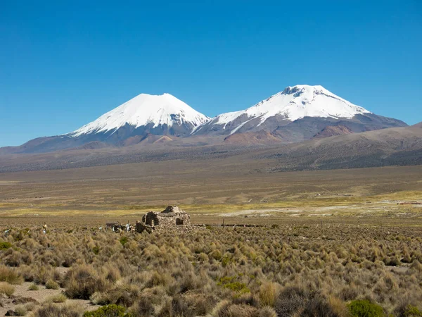 Paisagem Dos Andes Montanhas Com Vulcão Coberto Neve Fundo Uma — Fotografia de Stock