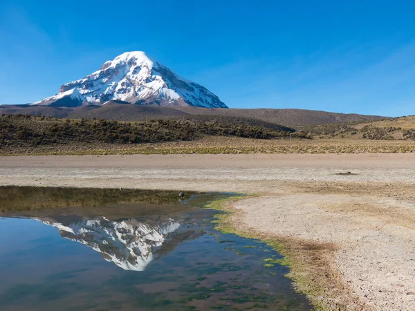 Der Vulkan Sajama Und Sein Spiegelbild Wasser Des Huanacota Sees — Stockfoto