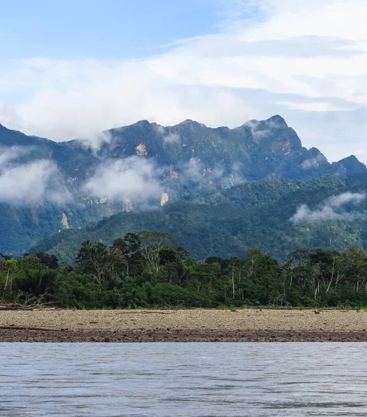 画像ベニ川の背景に熱帯雨林と ボリビアアマゾンのボートツアー マディディ国立公園 — ストック写真