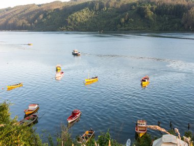 Küçük balıkçı tekneleri, Valdivia Nehri kıyısında demirlemiş, Corral kasabasında. Şili, dünyada çıkarcı balıkçılıkta bir güçtür.. 