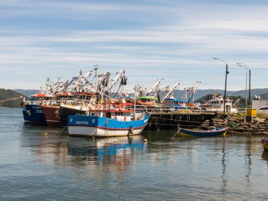 VALDIVIA, ŞİLYE - 14 Ocak 2018 Valdivia Nehri 'nin ağzındaki rıhtımda limana demirlemiş balıkçı tekneleri. Şili, dünyada çıkarıcı balıkçılıkta bir güçtür. Nehir Bölgesi