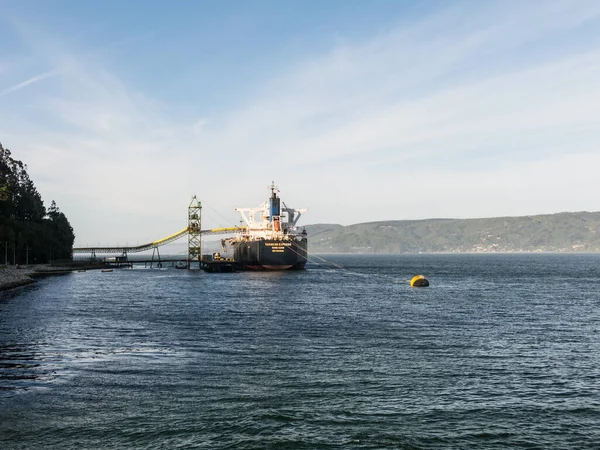 Valdivia Chile Enero 2018 Buque Mercante Astilló Depósito Industria Forestal —  Fotos de Stock