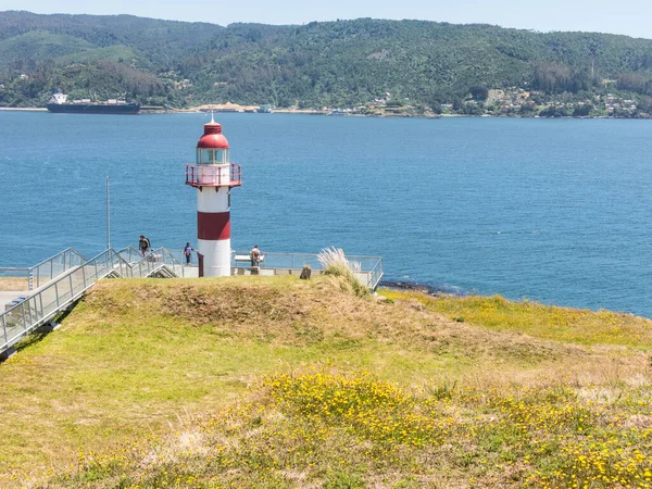 Leuchtturm Niebla Valdivia Chile Leuchtturm Der Spanischen Festung Niebla Valdivia — Stockfoto