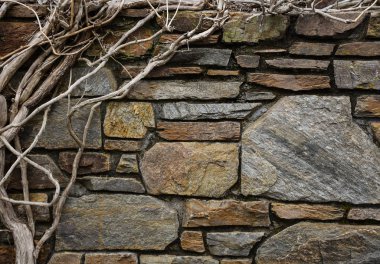 arka plan ağaç dalları taşlar üzerinde