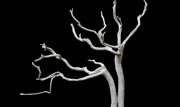 Siyah çıplak ağaç
