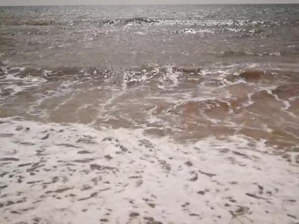 Soft wave of the sea on the sandy beach — Stock Video
