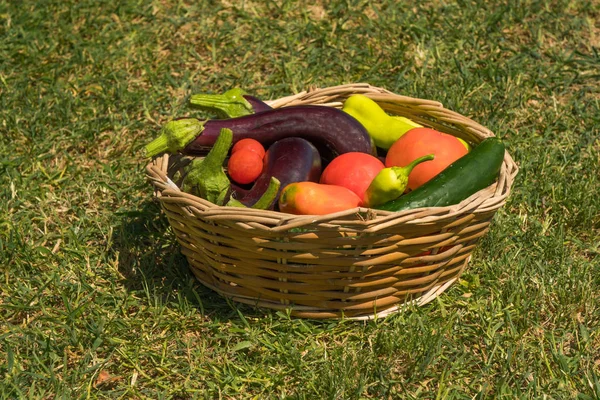 Composition with vegetables  in wicker basket — Stock Photo, Image