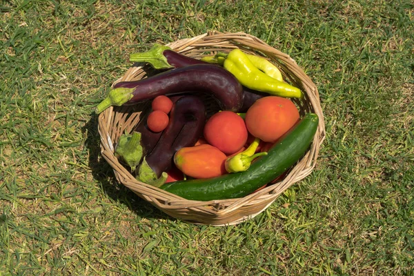 Composición con verduras en canasta de mimbre — Foto de Stock