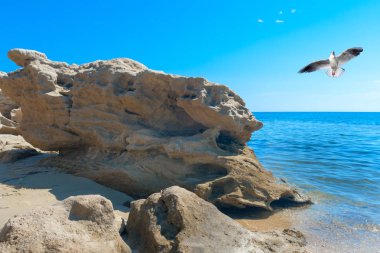 güzel plaj, chalkidiki Yarımadası, Yunanistan