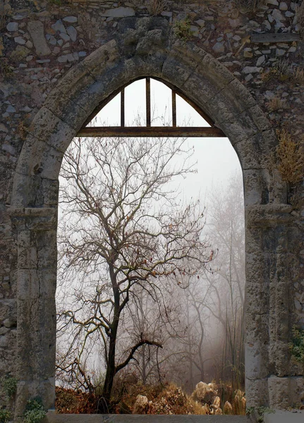 Paisagem no inverno — Fotografia de Stock