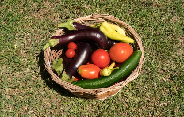 Kompozycja z warzywami w wiklinowym koszu — Zdjęcie stockowe