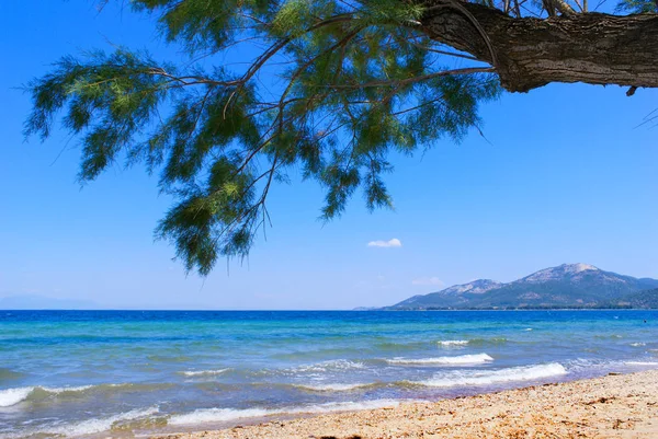 Nádherná pláž na poloostrově chalkidiki, Řecko — Stock fotografie
