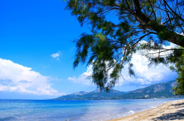 Schöner Strand auf der Halbinsel Chalkidiki, Griechenland — Stockfoto