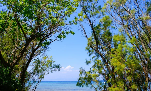 在 chalkidiki 半岛，希腊的美丽海滩 — 图库照片