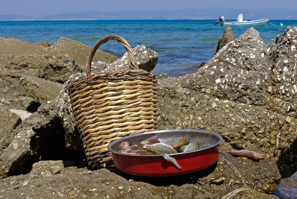 Poissons frais sur la plage, Grèce — Photo