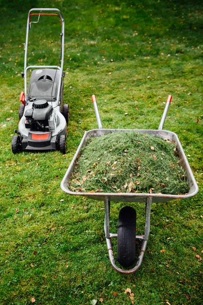 Cortador de grama e carrinho de mão com grama no gramado verde cortado — Fotografia de Stock