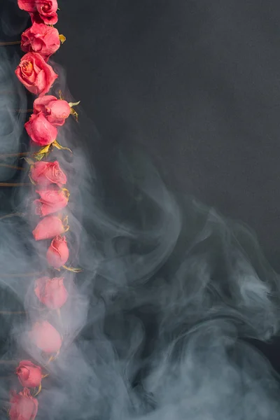 Roses rouges sèches de style gothique, fond noir avec fumée — Photo