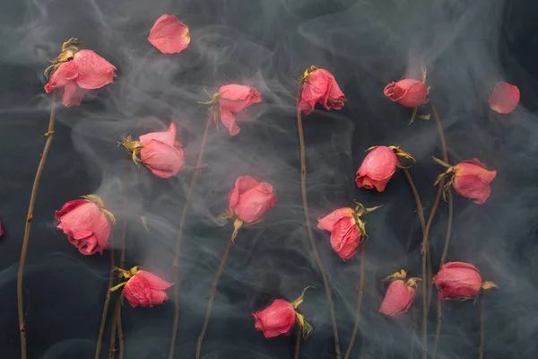 Trockene Rosen im gotischen Stil, schwarzer Hintergrund mit Rauch — Stockfoto