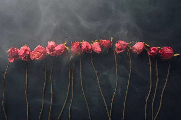 Roses sèches de style gothique, fond noir avec fumée — Photo