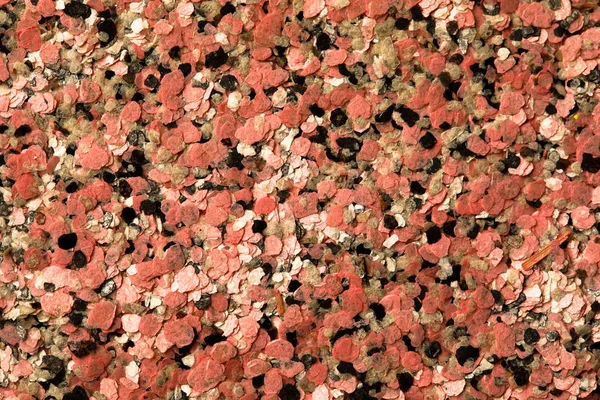 Dekoratív shell textúra, rózsaszín és fekete — Stock Fotó