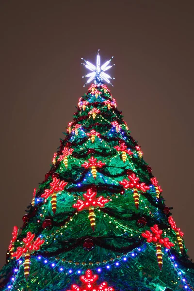 Árbol de Navidad luces, decoración festiva — Foto de Stock