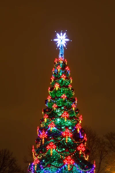 Christmas tree lights, city decoration — Stock Photo, Image