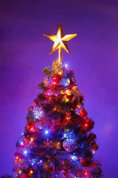 Árvore de Natal com estrela festiva, fundo roxo — Fotografia de Stock