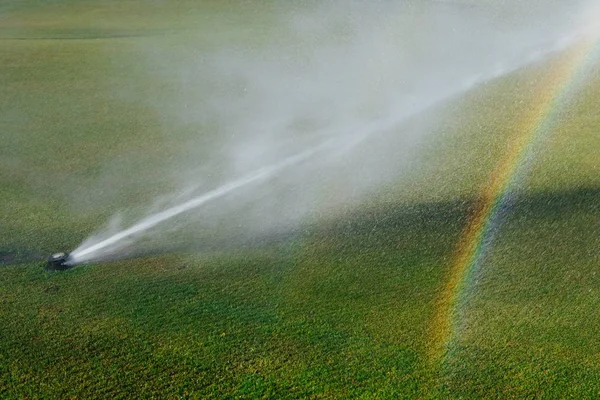 Golf gazon sprinkler met regenboog — Stockfoto