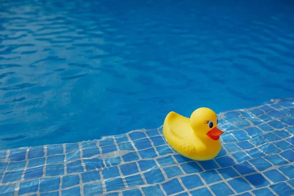 Anatra di gomma gialla in piscina blu — Foto Stock