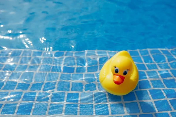 Sarı lastik ördek mavi yüzme havuzunda — Stok fotoğraf