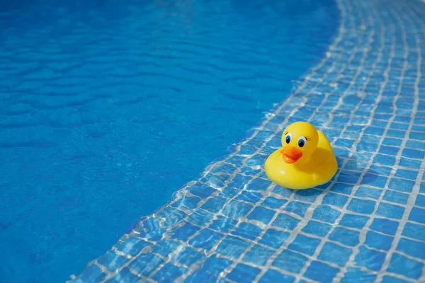 Yellow rubber duck in blue swimming pool — Stock Photo, Image