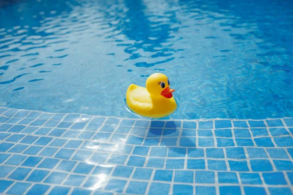 Yellow rubber duck in blue swimming pool — Stock Photo, Image