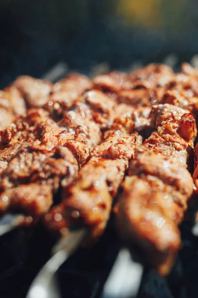 Grilled barbecue meat on skewers with smoke — Stock Photo, Image