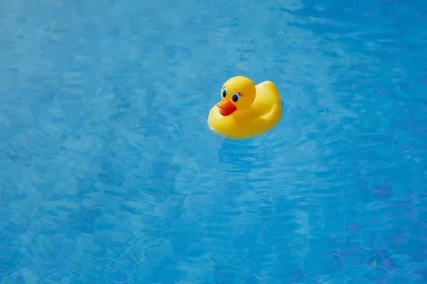 Pato de goma amarillo en la piscina azul — Foto de Stock