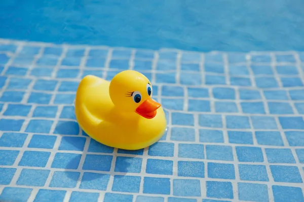 파란 수영장에서 노란색 고무 오리 — 스톡 사진